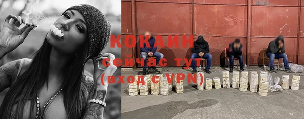 прущие крисы Армянск